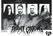 Photo of HERMIT DREAMS Announce New Album Desperate Anomies